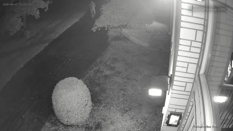 Infrared view of a person at the far end of the driveway, near the road